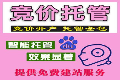 竞价广告端口开户的典型案例剖析